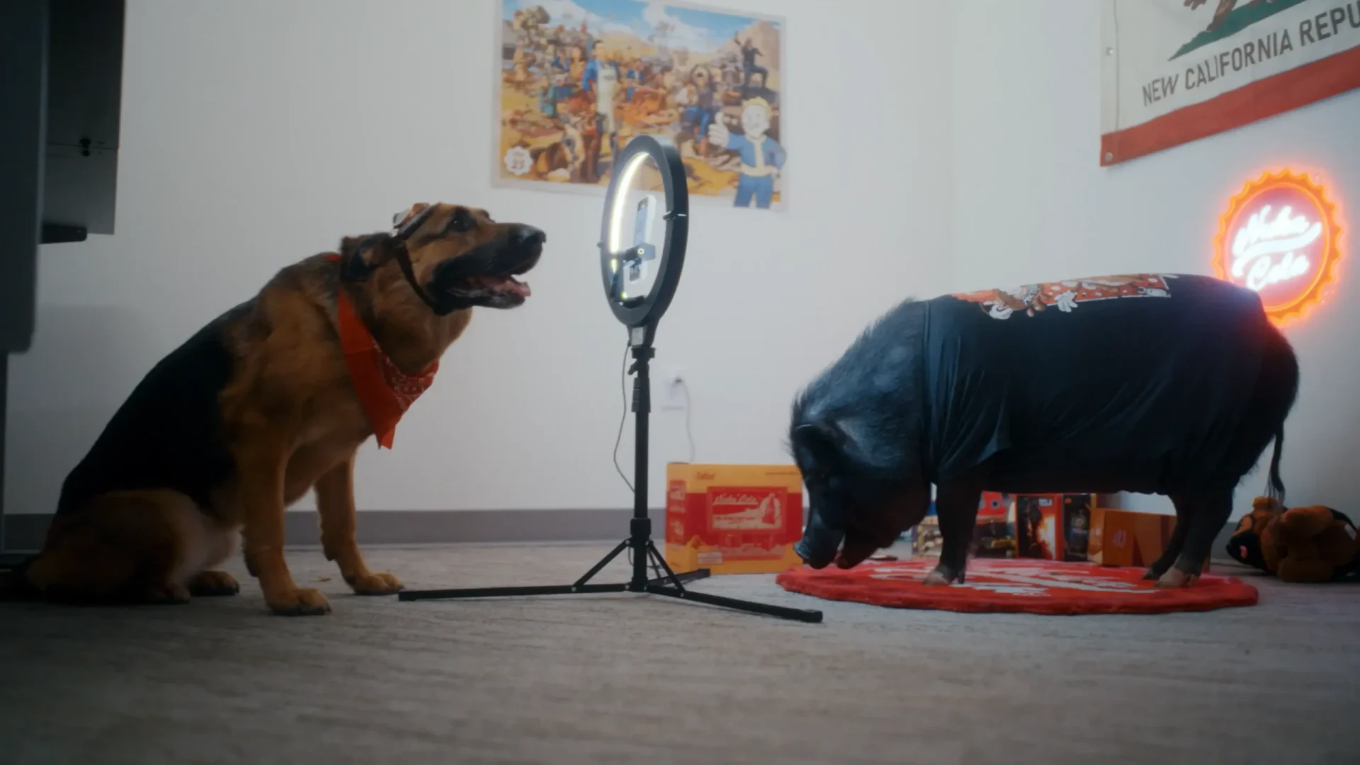 BETH_FDB2_Thumbnail_v1