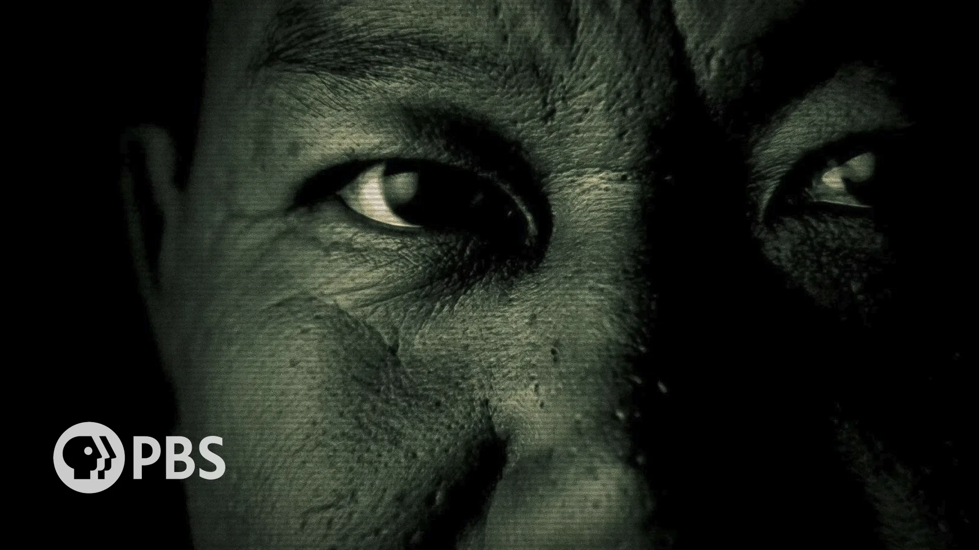 Locha Tao's (the show's main character) face in shadow with a green tint and scan-line overlay. The PBS logo is in the bottom left corner.